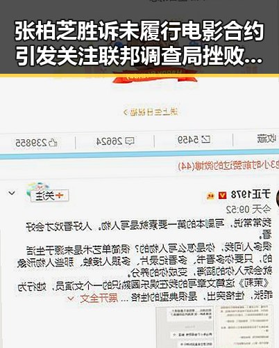 张柏芝胜诉未履行电影合约引发关注 联邦调查局挫败白宫格斗赛袭击阴谋