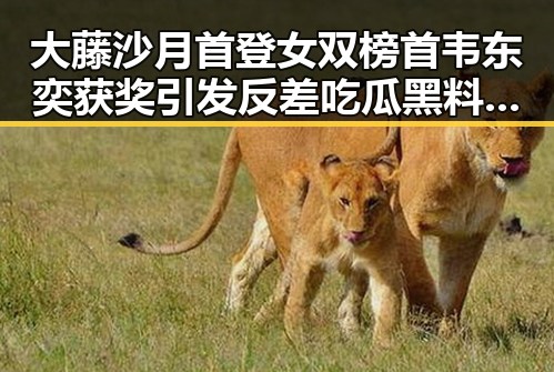 大藤沙月首登女双榜首韦东奕获奖引发反差吃瓜黑料热议