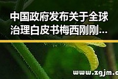 中国政府发布关于全球治理白皮书梅西刚刚发微博表达感谢引发热议
