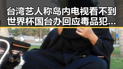 台湾艺人称岛内电视看不到世界杯 国台办回应毒品犯罪案件破获情况